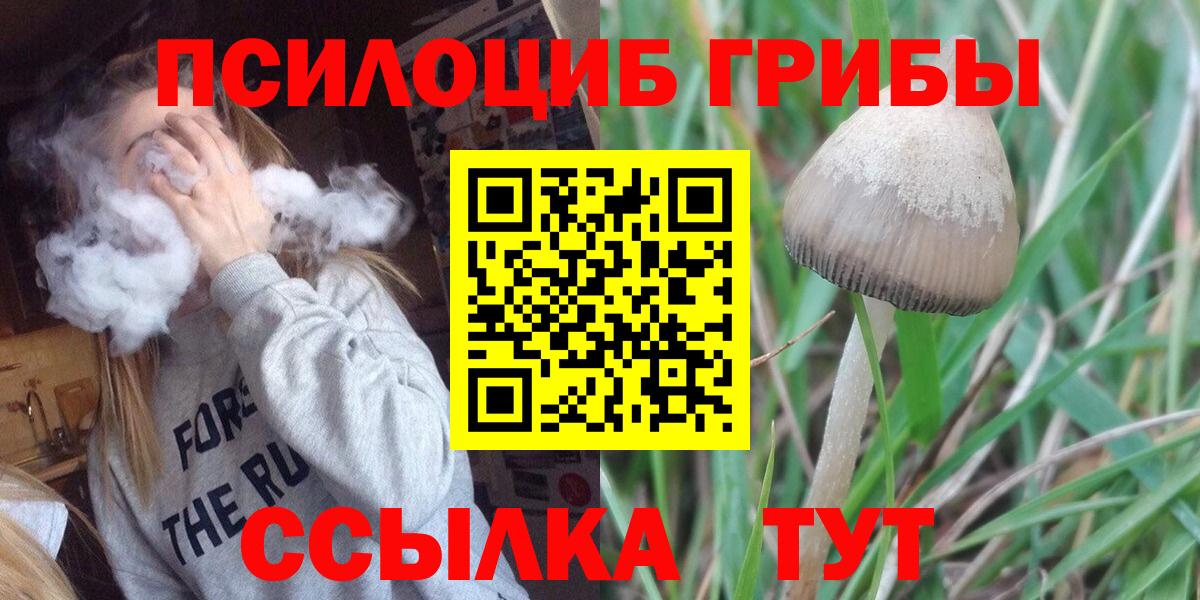 Галлюциногенные грибы Psilocybine cubensis  Галлюциногенные грибы Cubensis  закладка  Черняховск  Вход с VPN 